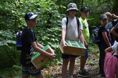 Zielono mi... EkoWakacje z Domem Kultury 2025